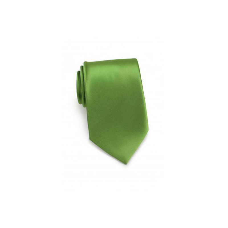 Fashion, accesorii si bijuterii - Barbati - Accesorii barbati - Cravate si papioane barbati - Cravata cu aspect matasos, verde deschis, 155 x 5 cm, Vivo, CRV1 - Infinity.ro