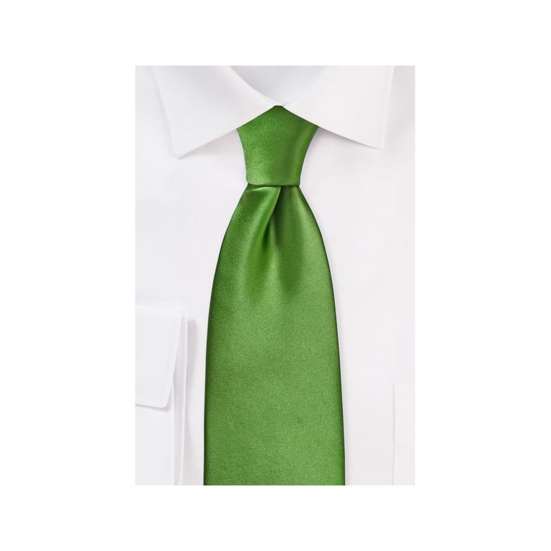Fashion, accesorii si bijuterii - Barbati - Accesorii barbati - Cravate si papioane barbati - Cravata cu aspect matasos, verde deschis, 155 x 5 cm, Vivo, CRV1 - Infinity.ro