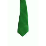 Fashion, accesorii si bijuterii - Barbati - Accesorii barbati - Cravate si papioane barbati - Cravata cu aspect matasos, verde deschis, 155 x 5 cm, Vivo, CRV1 - Infinity.ro