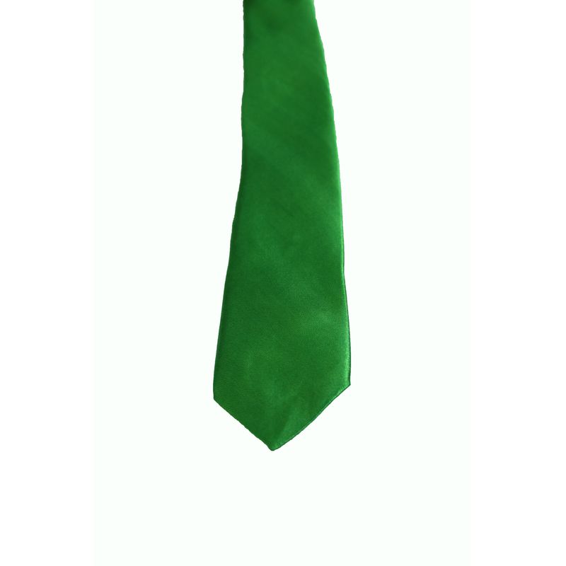 Fashion, accesorii si bijuterii - Barbati - Accesorii barbati - Cravate si papioane barbati - Cravata cu aspect matasos, verde deschis, 155 x 5 cm, Vivo, CRV1 - Infinity.ro