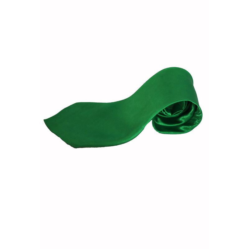 Fashion, accesorii si bijuterii - Barbati - Accesorii barbati - Cravate si papioane barbati - Cravata cu aspect matasos, Verde, 157 x 9 cm, CRV2, Vivo - Infinity.ro