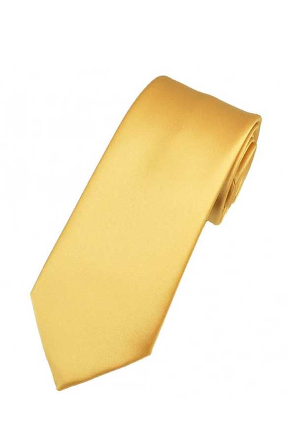 Cravata cu aspect matasos, Gold,157 x 9 cm, CRV2, Vivo