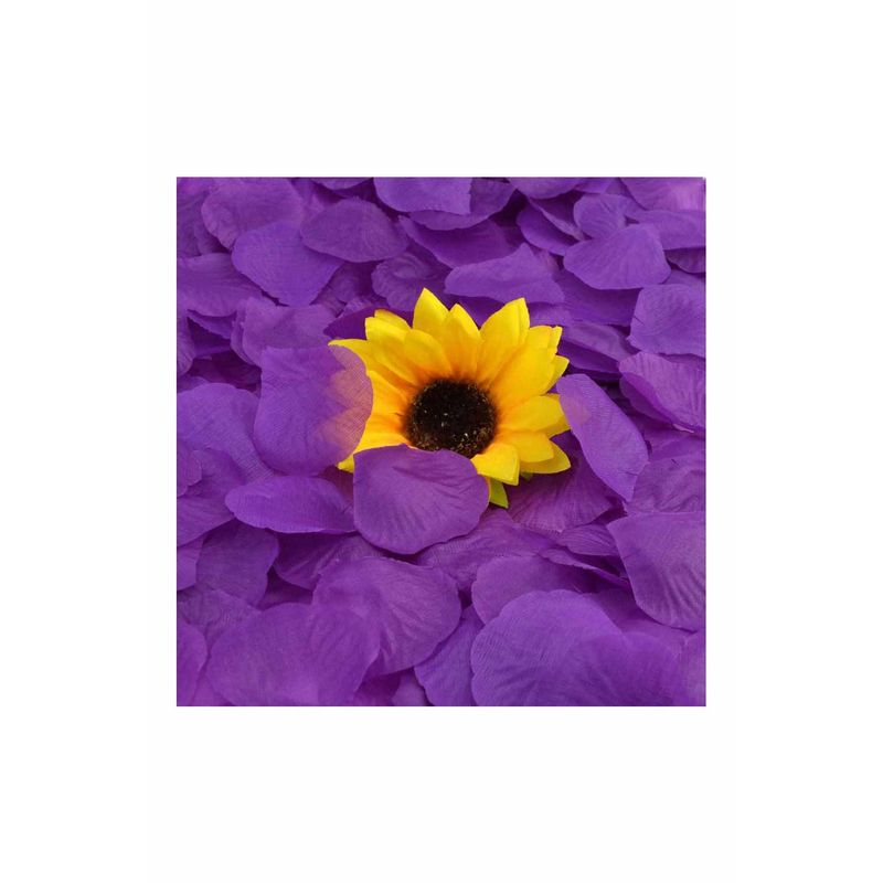 Casa si Gradina - Decoratiuni - Decoratiuni petrecere - Accesorii pentru petrecere - Set petale trandafiri artificiale 100 bucati, ROSE, mov inchis - Infinity.ro