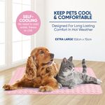 Petshop - Accesorii petshop - Culcusuri si custi - Culcusuri si saltele - Saltea de racire pentru animal de companie Cooling Pet Mat, 102 x 70 cm, roz, Extra Large, HS045 - Infinity.ro