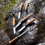 Sport si Outdoor - Camping - Cutite, bricege si accesorii - Cutite si bricege - Cutit de buzunar N°08, inox, 8,5cm, "Engraved", Animalia Bear - Opinel - Infinity.ro