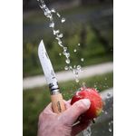 Sport si Outdoor - Camping - Cutite, bricege si accesorii - Cutite si bricege - Cutit de buzunar N°09, inox, 9cm, "Tradition Inox" - Opinel - Infinity.ro