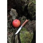 Sport si Outdoor - Camping - Cutite, bricege si accesorii - Cutite si bricege - Cutit de buzunar N°08, inox, 8,5cm, "Tradition Luxe", Walnut - Opinel - Infinity.ro