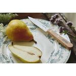 Sport si Outdoor - Camping - Cutite, bricege si accesorii - Cutite si bricege - Cutit pentru decojit N°112, inox, 10cm, "Les Essentiels" - Opinel - Infinity.ro