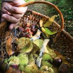 Sport si Outdoor - Camping - Cutite, bricege si accesorii - Cutite si bricege - Cutit de buzunar N°07, inox, 4cm, "Nomad Cooking" - Opinel - Infinity.ro