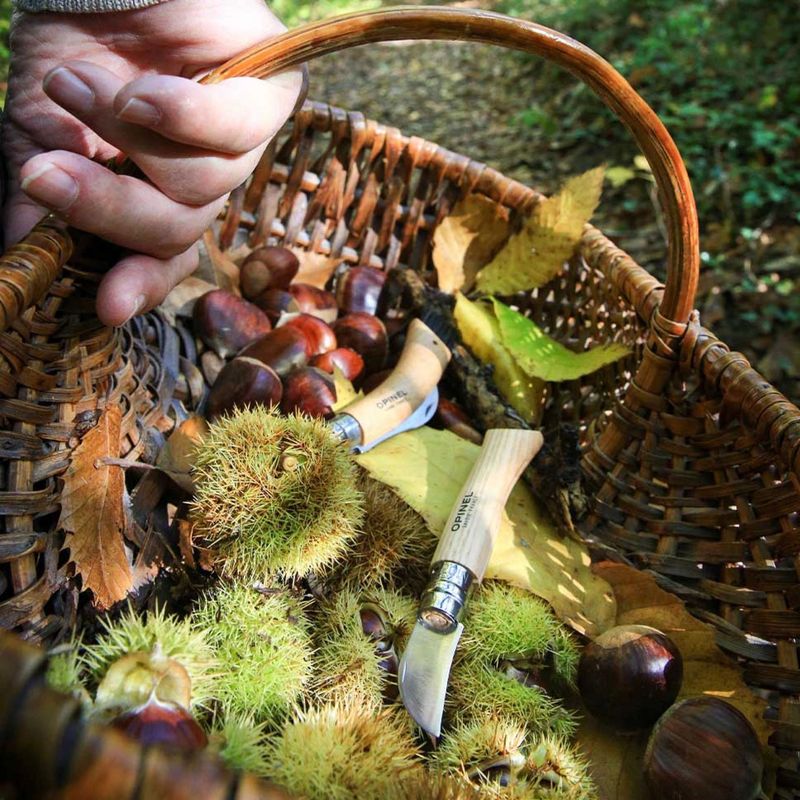 Sport si Outdoor - Camping - Cutite, bricege si accesorii - Cutite si bricege - Cutit de buzunar N°07, inox, 4cm, "Nomad Cooking" - Opinel - Infinity.ro