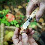 Sport si Outdoor - Camping - Cutite, bricege si accesorii - Cutite si bricege - Cutit de buzunar N°07, inox, 4cm, "Nomad Cooking" - Opinel - Infinity.ro
