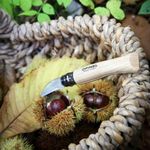 Sport si Outdoor - Camping - Cutite, bricege si accesorii - Cutite si bricege - Cutit de buzunar N°07, inox, 4cm, "Nomad Cooking" - Opinel - Infinity.ro