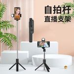 Laptop, Telefoane si Tablete - Telefoane mobile si accesorii - Accesorii Telefoane - Selfie stick-uri - Selfie Stick cu Telecomanda si Lumina LED, 105cm, Techsuit (S05-S), negru - Infinity.ro