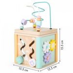 Jucarii, Copii si Bebe - Jucarii si jocuri - Seturi de constructie si cuburi - Cuburi si caramizi - Cub educational din lemn cu labirint si sortator Ecotoys HM015472 - Infinity.ro