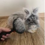 Ingrijire personala si Cosmetice - Ingrijire personala - Ingrijire par - Perii de par si piepteni - Perie pentru indepartarea parului de animale de companie - Infinity.ro