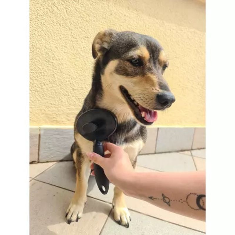 Ingrijire personala si Cosmetice - Ingrijire personala - Ingrijire par - Perii de par si piepteni - Perie pentru indepartarea parului de animale de companie - Infinity.ro