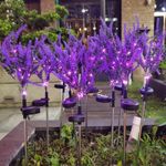 Casa si Gradina - Corpuri si surse de iluminat - Iluminat exterior - Lampi solare - Set 2 Lampi Solare Tip Lavanda, 70cm Inaltime, Senzor de Lumina, IP65, Violet - Infinity.ro