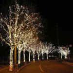 Casa si Gradina - Corpuri si surse de iluminat - Iluminat exterior - Instalatii luminoase exterior - Instalatie Solara, cu Lumina Alba calda/rece si Multicolora, 300 LED-uri, 8 Efecte, 30m - Multicolor - Infinity.ro