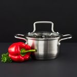 Casa si Gradina - Bucatarie si vesela - Vase pentru gatit - Oale si cratite - Oala inox cu capac 14cm, 0.75L, AMBITION Hugo - Infinity.ro