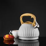 Casa si Gradina/Bucatarie si vesela/Vase pentru gatit/Ceainice si infuzoare - Ceainic aragaz cu fluier 2.5L (3L), gri, inductie, AMBITION Curly - Infinity.ro