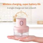 Electronice si Electrocasnice - Electrocasnice bucatarie - Mixere, tocatoare & roboti de bucatarie - Blendere si mini tocatoare - Mini tocator electric pentru alimente, 45W, 250 ml, cu incarcare USB, roz - Infinity.ro