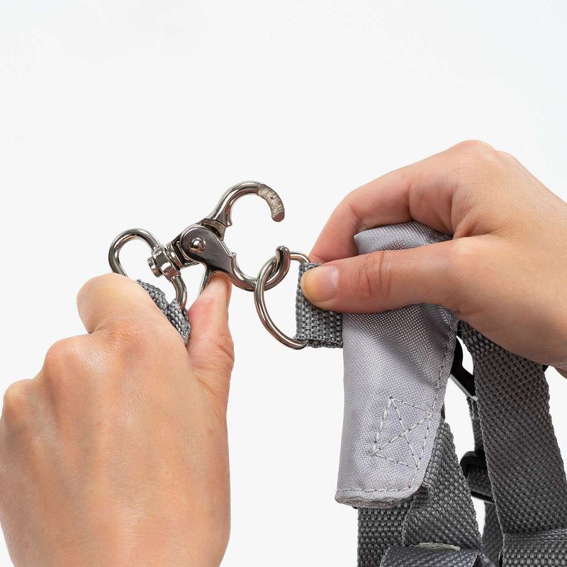 Jucarii, Copii si Bebe - Carucioare si articole de transport - Marsupii si hamuri bebe - Ham de siguranta si mers pentru bebelusi, reglabil, cu frau de ghidare detasabil, Reer Travelkid Go 53132 - Infinity.ro