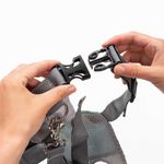 Jucarii, Copii si Bebe - Carucioare si articole de transport - Marsupii si hamuri bebe - Ham de siguranta si mers pentru bebelusi, reglabil, cu frau de ghidare detasabil, Reer Travelkid Go 53132 - Infinity.ro