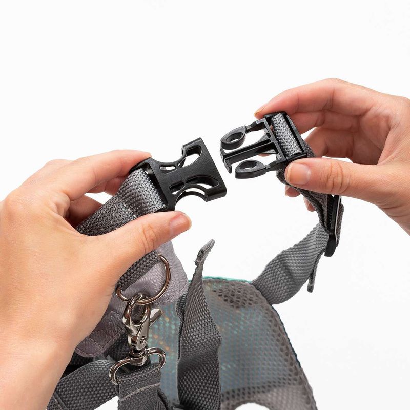 Jucarii, Copii si Bebe - Carucioare si articole de transport - Marsupii si hamuri bebe - Ham de siguranta si mers pentru bebelusi, reglabil, cu frau de ghidare detasabil, Reer Travelkid Go 53132 - Infinity.ro