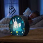 Casa si Gradina - Corpuri si surse de iluminat - Veioze si lampi - Lampi de veghe copii - Lampa de veghe cu LED MyBabyLight Bunny, 0+ luni, Reer 52371 - Infinity.ro