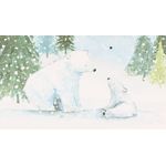 Market - Cadouri - Pungi cadou si accesorii - Punga de cadou, din hartie, colectia Clairefontaine de la Eurowrap, 25x21,5 cm, burduf de 10 cm, Polar bear - Infinity.ro