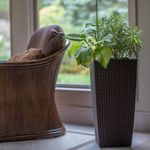 Casa si Gradina - Gradinarit si plante - Plante si ghivece - Ghivece si suporturi - Ghiveci Decorativ Prosperplast pentru Flori, Imitatie Ratan, 22.6×22.6×42.2 cm, Maro - Infinity.ro