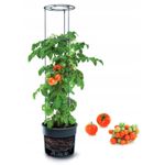 Casa si Gradina - Gradinarit si plante - Plante si ghivece - Ghivece si suporturi - Ghiveci decorativ pentru rosii, rotund, antracit, 39.2x31.5x153 cm, Tomato Grower - Infinity.ro