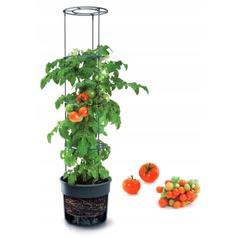 Casa si Gradina - Gradinarit si plante - Plante si ghivece - Ghivece si suporturi - Ghiveci decorativ pentru rosii, rotund, antracit, 39.2x31.5x153 cm, Tomato Grower - Infinity.ro