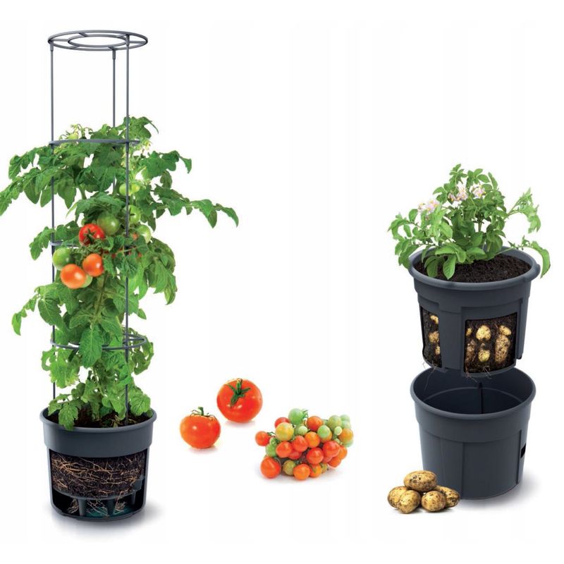 Casa si Gradina - Gradinarit si plante - Plante si ghivece - Ghivece si suporturi - Ghiveci decorativ pentru rosii, rotund, antracit, 39.2x31.5x153 cm, Tomato Grower - Infinity.ro