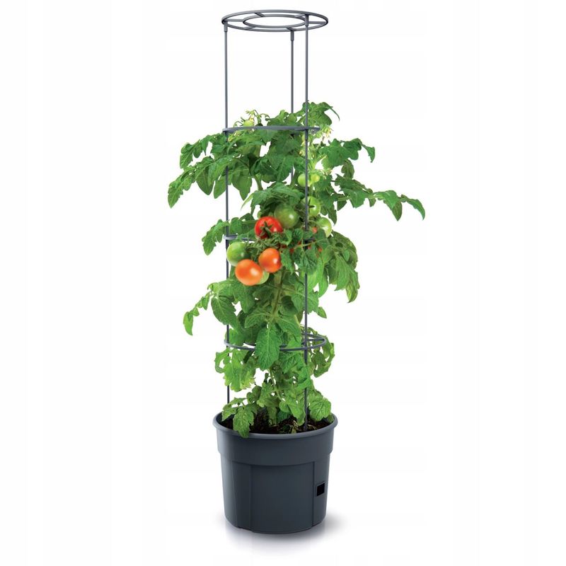 Casa si Gradina - Gradinarit si plante - Plante si ghivece - Ghivece si suporturi - Ghiveci decorativ pentru rosii, rotund, antracit, 39.2x31.5x153 cm, Tomato Grower - Infinity.ro