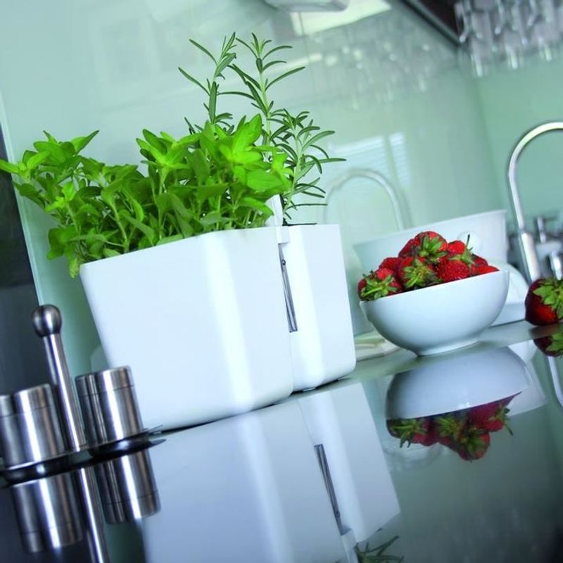 Casa si Gradina - Gradinarit si plante - Plante si ghivece - Ghivece si suporturi - Ghiveci decorativ de flori, dublu, alb, 2.5 L, 24.4x11x12 cm, Twins Cube - Infinity.ro