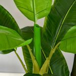 Casa si Gradina - Decoratiuni - Obiecte decorative - Plante artificiale - Planta artificiala, bananier cu ghiveci, verde, 150 cm - Infinity.ro
