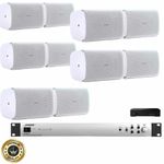 TV, Audio-Video si Foto - Home cinema si Soundbar - Sisteme audio - Sistem sonorizare interior exterior Bose FS4SE, 10 boxe - Infinity.ro