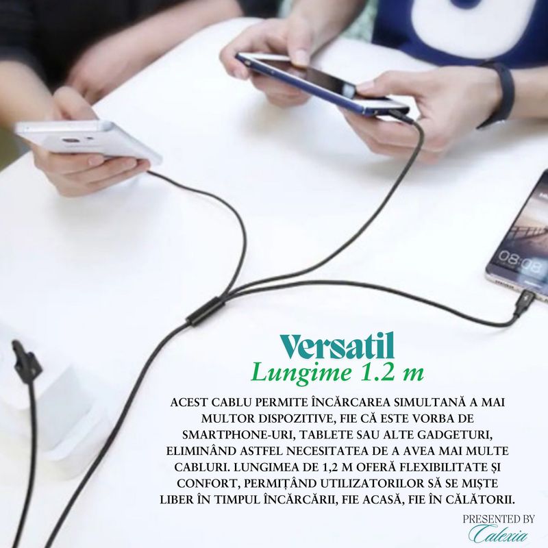Laptop, Telefoane si Tablete - Telefoane mobile si accesorii - Accesorii Telefoane - Cabluri si adaptoare telefoane - Cablu de incarcare rapida 2.1A, 3 in 1, compatibil iPhone, Android si Type-C, conexiune sigura, 1.2 m, Negru - Infinity.ro