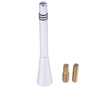 Antena auto universala 16 cm, argintiu