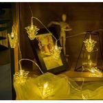 Casa si Gradina - Decoratiuni - Decoratiuni de sezon - Instalatie pentru Craciun, Braduti, 2m, 10 led-uri, cu baterii , set: 2 buc , tip lumina: calda - Infinity.ro