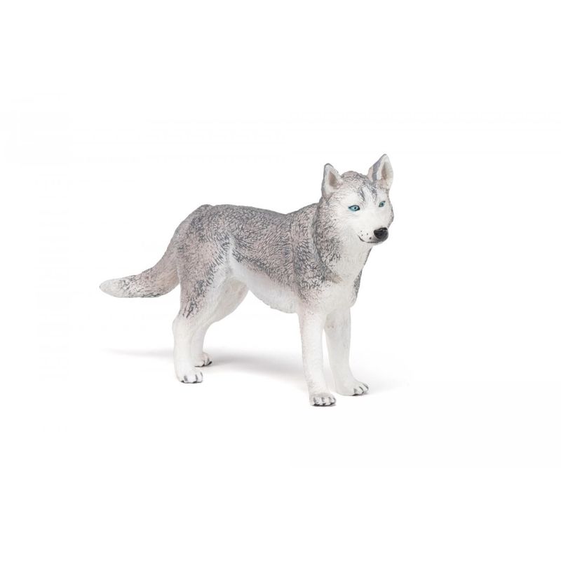 Jucarii, Copii si Bebe - Jucarii si jocuri - Figurine - PAPO FIGURINA HUSKY SIBERIAN - Infinity.ro