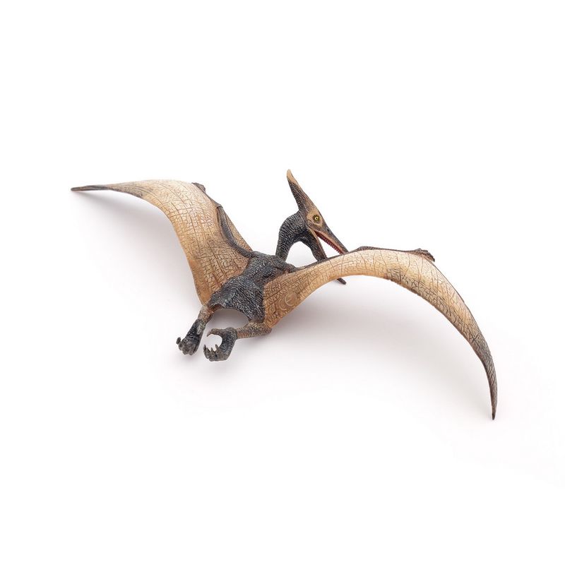 Jucarii, Copii si Bebe - Jucarii si jocuri - Figurine - PAPO FIGURINA   DINOZAUR PTERANODON - Infinity.ro