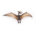 Jucarii, Copii si Bebe - Jucarii si jocuri - Figurine - PAPO FIGURINA   DINOZAUR PTERANODON - Infinity.ro