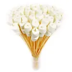 Casa si Gradina - Gradina si terasa - Gratare si accesorii - Accesorii gratare - Bete de gratar, bete de frigarui 30 cm, set de 80 bucati - Infinity.ro