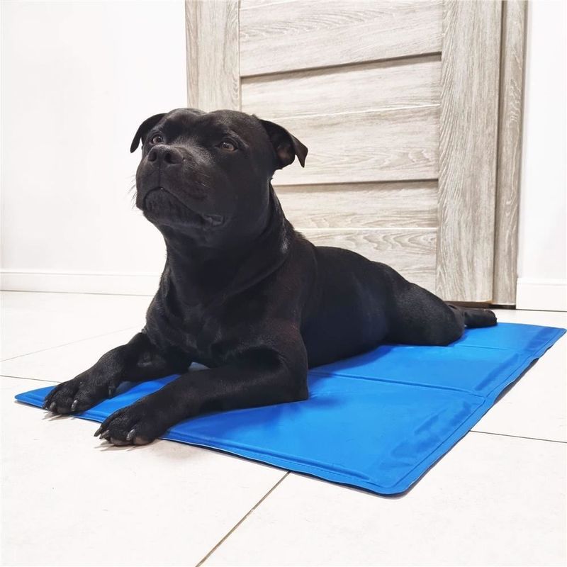 Petshop - Accesorii petshop - Alte accesorii petshop - Covoras  de Racire pentru Caini si Pisici  Rezistente la Apa, Albastre, 50x60 cm - Infinity.ro