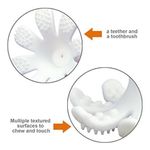 Jucarii, Copii si Bebe - Jucarii si jocuri - Jucarii bebelusi - Jucarii pentru dentitie - INEL GINGIVAL DIN SILICON, MOMBELLA - OCTOPUS MOV - Infinity.ro