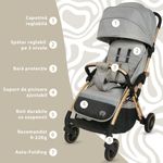 Jucarii, Copii si Bebe - Carucioare si articole de transport - Carucioare - Carucioare standard - Carucior Sport AppeKids – Upp – Ultracompact, Pliere automata, De la nastere la 22kg - Powder Grey - Infinity.ro