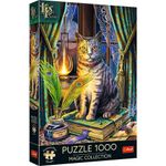 Jucarii, Copii si Bebe - Jucarii si jocuri - Jocuri si puzzle - Puzzle - Puzzle 1000 piese, Cartea Umbrelor - Infinity.ro