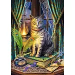 Jucarii, Copii si Bebe - Jucarii si jocuri - Jocuri si puzzle - Puzzle - Puzzle 1000 piese, Cartea Umbrelor - Infinity.ro